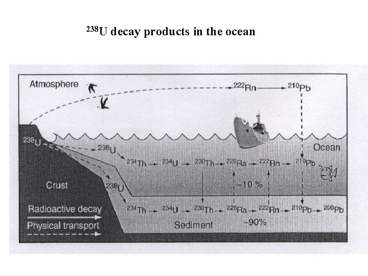 238 U decay products in the ocean 