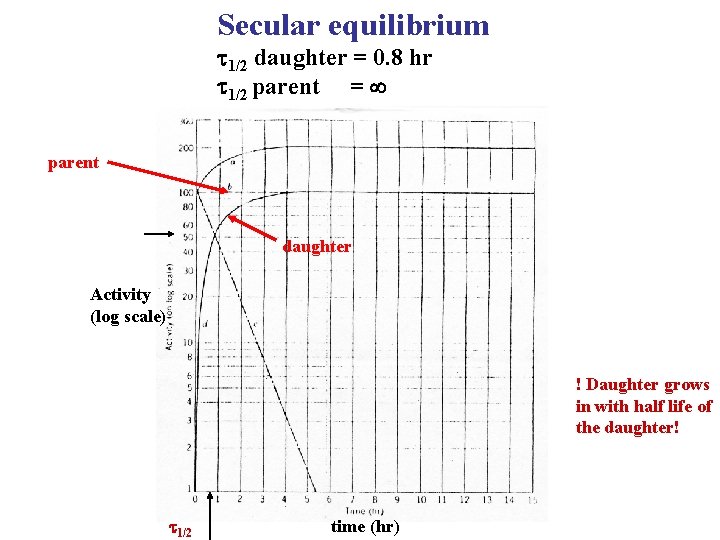 Secular equilibrium t 1/2 daughter = 0. 8 hr t 1/2 parent = parent