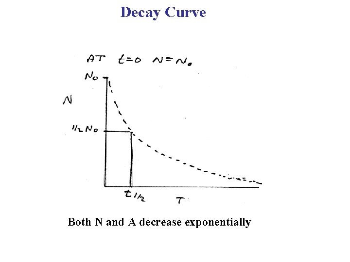 Decay Curve Both N and A decrease exponentially 