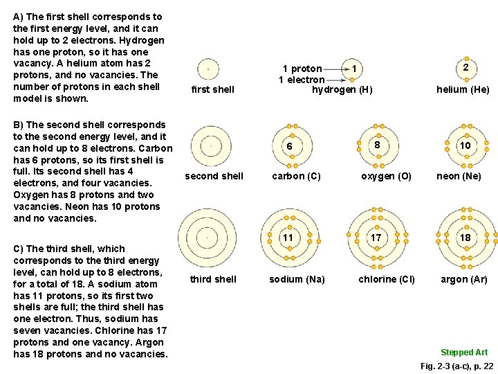 A) The first shell corresponds to the first energy level, and it can hold