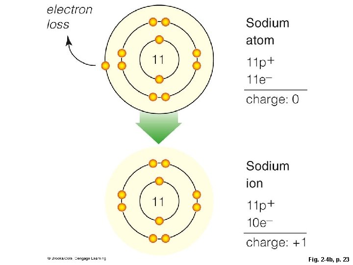 Fig. 2 -4 b, p. 23 