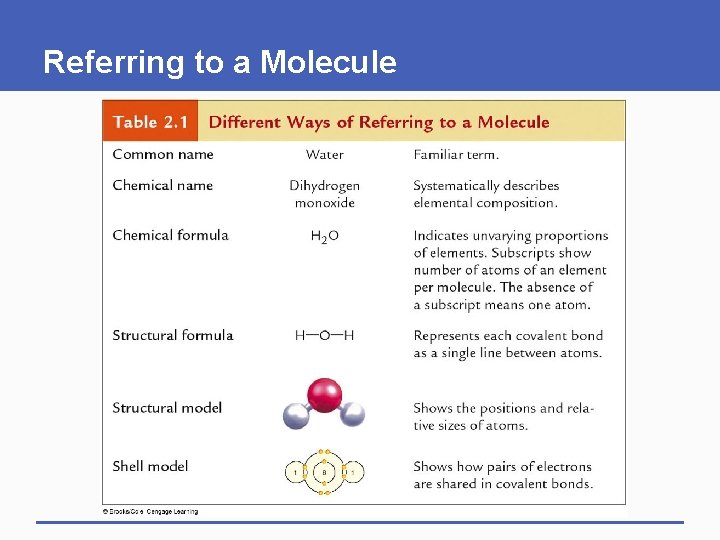 Referring to a Molecule 
