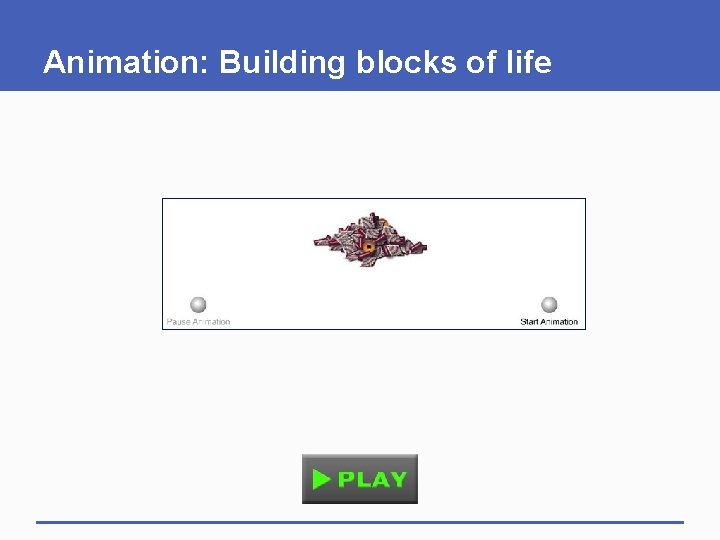 Animation: Building blocks of life 
