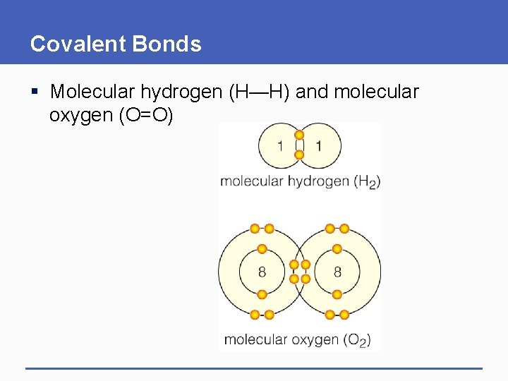Covalent Bonds § Molecular hydrogen (H—H) and molecular oxygen (O=O) 