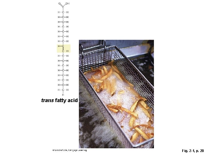 trans fatty acid Fig. 2 -1, p. 20 