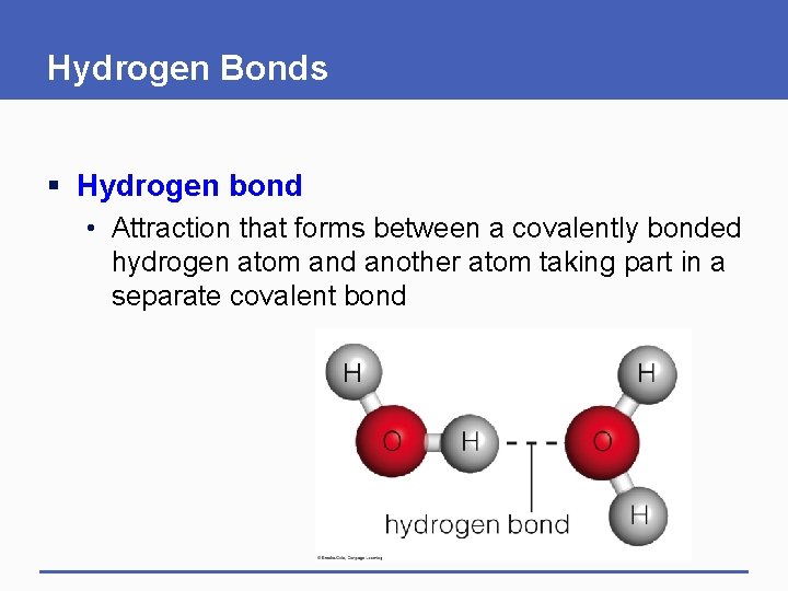 Hydrogen Bonds § Hydrogen bond • Attraction that forms between a covalently bonded hydrogen