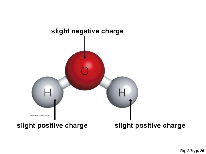 slight negative charge slight positive charge Fig. 2 -7 a, p. 26 