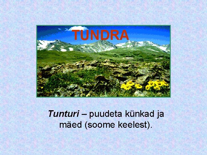 TUNDRA Tunturi – puudeta künkad ja mäed (soome keelest). TUNDRA Tunturi – puudeta künkad ja mäed (soome keelest).