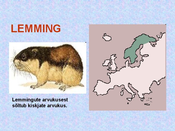LEMMING Lemmingute arvukusest sõltub kiskjate arvukus. LEMMING Lemmingute arvukusest sõltub kiskjate arvukus.