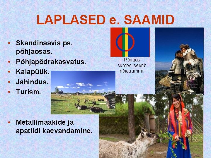 LAPLASED e. SAAMID • Skandinaavia ps. põhjaosas. • Põhjapõdrakasvatus. • Kalapüük. • Jahindus. • LAPLASED e. SAAMID • Skandinaavia ps. põhjaosas. • Põhjapõdrakasvatus. • Kalapüük. • Jahindus. •