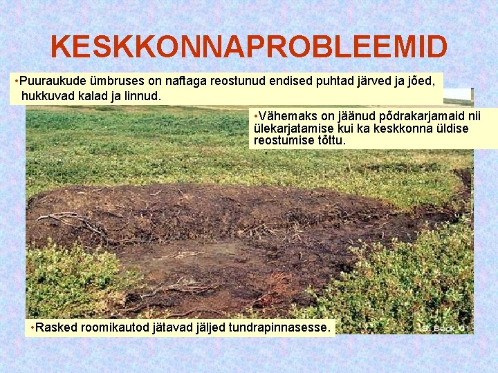 KESKKONNAPROBLEEMID • Puuraukude ümbruses on naftaga reostunud endised puhtad järved ja jõed, hukkuvad kalad KESKKONNAPROBLEEMID • Puuraukude ümbruses on naftaga reostunud endised puhtad järved ja jõed, hukkuvad kalad