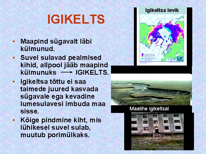 IGIKELTS • Maapind sügavalt läbi külmunud. • Suvel sulavad pealmised kihid, allpool jääb IGIKELTS • Maapind sügavalt läbi külmunud. • Suvel sulavad pealmised kihid, allpool jääb
