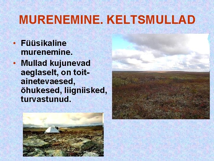 MURENEMINE. KELTSMULLAD • Füüsikaline murenemine. • Mullad kujunevad aeglaselt, on toitainetevaesed, õhukesed, liigniisked, turvastunud. MURENEMINE. KELTSMULLAD • Füüsikaline murenemine. • Mullad kujunevad aeglaselt, on toitainetevaesed, õhukesed, liigniisked, turvastunud.