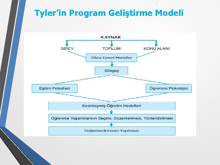 Tyler’in Program Geliştirme Modeli 