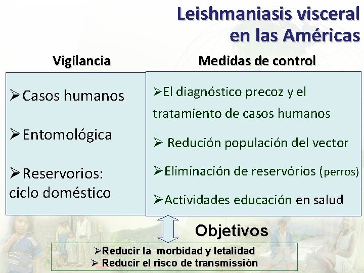 Leishmaniasis visceral en las Américas Vigilancia ØCasos humanos ØEntomológica ØReservorios: ciclo doméstico Medidas de