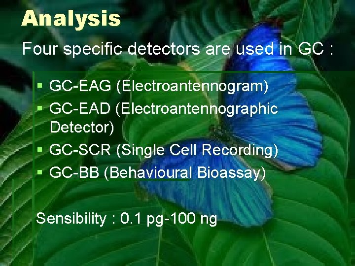 Analysis Four specific detectors are used in GC : § GC-EAG (Electroantennogram) § GC-EAD