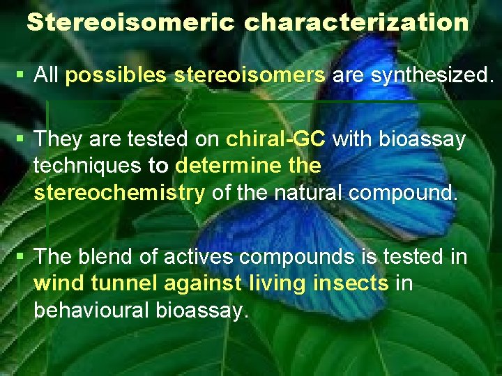 Stereoisomeric characterization § All possibles stereoisomers are synthesized. § They are tested on chiral-GC