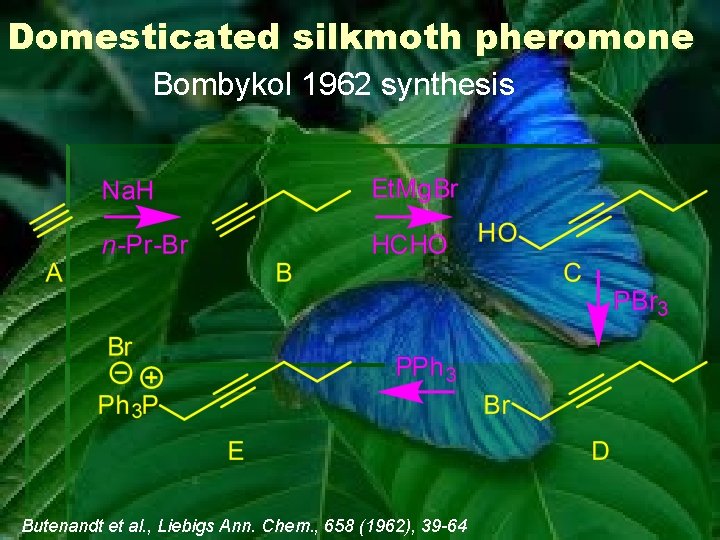 Domesticated silkmoth pheromone Bombykol 1962 synthesis Butenandt et al. , Liebigs Ann. Chem. ,