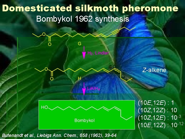 Domesticated silkmoth pheromone Bombykol 1962 synthesis Z-alkene (10 E, 12 E) : 1 (10