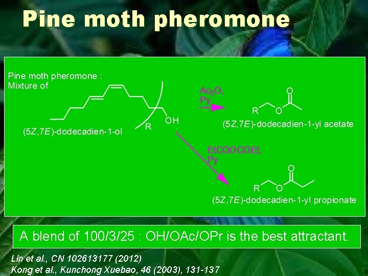 Pine moth pheromone A blend of 100/3/25 : OH/OAc/OPr is the best attractant. Lin