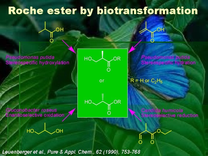 Roche ester by biotransformation Leuenberger et al. , Pure & Appl. Chem. , 62