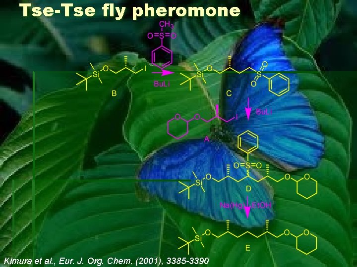 Tse-Tse fly pheromone Kimura et al. , Eur. J. Org. Chem. (2001), 3385 -3390