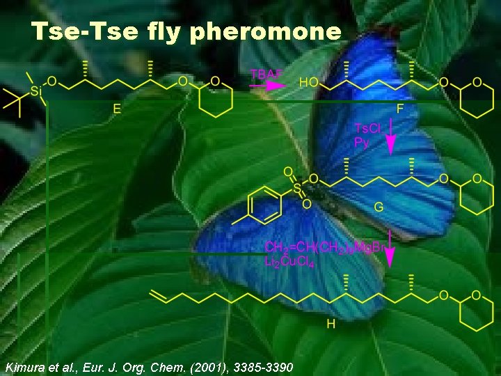 Tse-Tse fly pheromone Kimura et al. , Eur. J. Org. Chem. (2001), 3385 -3390