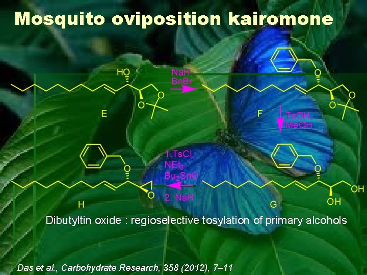Mosquito oviposition kairomone Dibutyltin oxide : regioselective tosylation of primary alcohols Das et al.