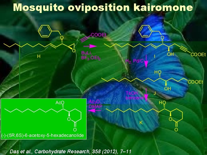 Mosquito oviposition kairomone Das et al. , Carbohydrate Research, 358 (2012), 7– 11 