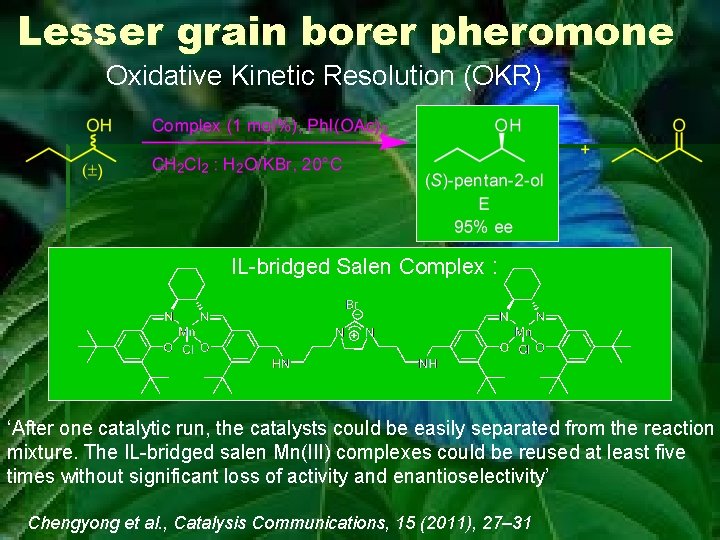 Lesser grain borer pheromone Oxidative Kinetic Resolution (OKR) IL-bridged Salen Complex : ‘After one