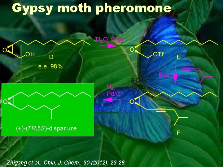 Gypsy moth pheromone Zhigang et al. , Chin. J. Chem. , 30 (2012), 23