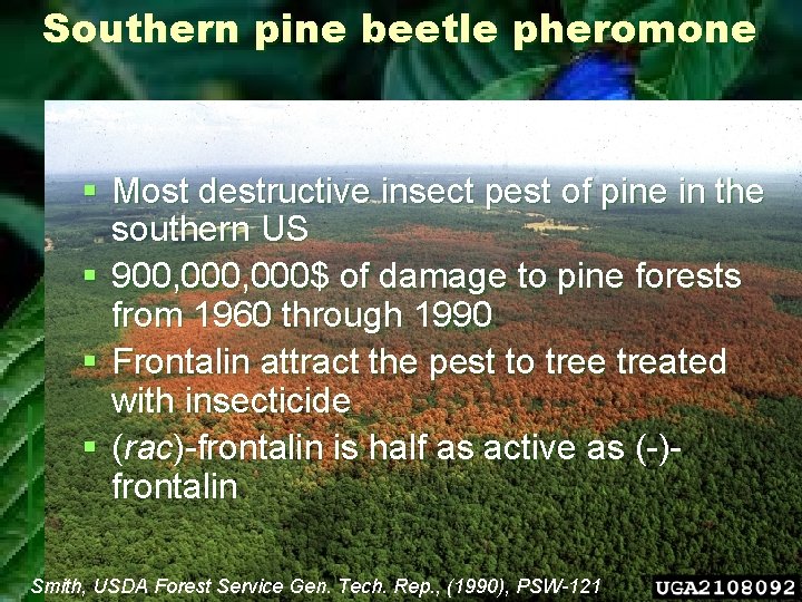 Southern pine beetle pheromone § Most destructive insect pest of pine in the southern