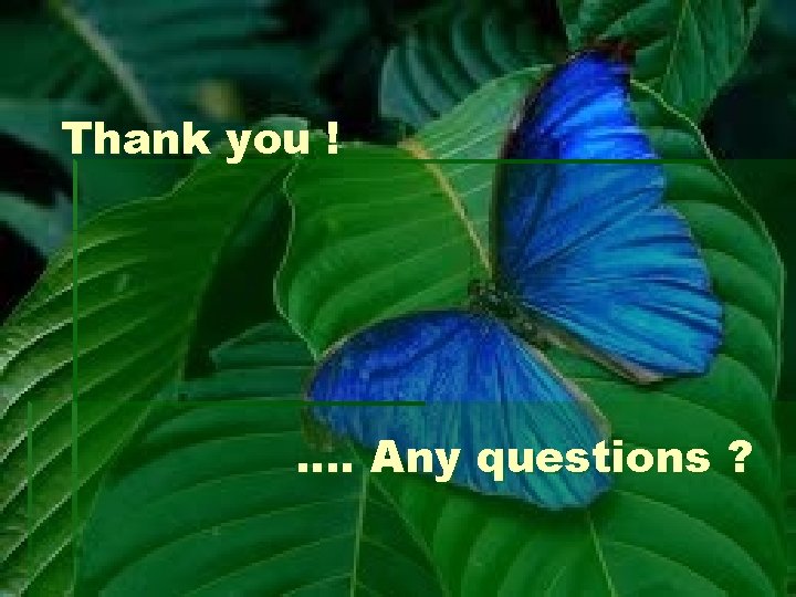 Thank you ! …. Any questions ? 