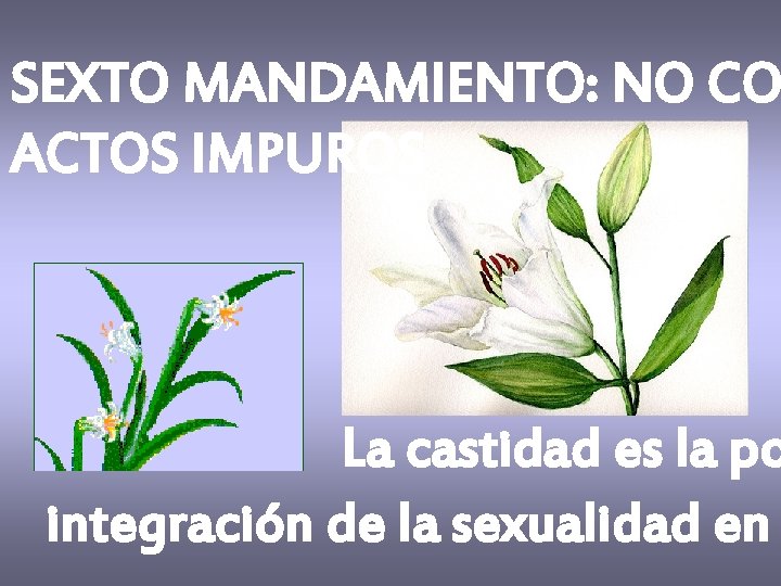 SEXTO MANDAMIENTO: NO CO ACTOS IMPUROS La castidad es la po integración de la