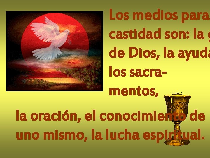 Los medios para castidad son: la g de Dios, la ayuda los sacramentos, la