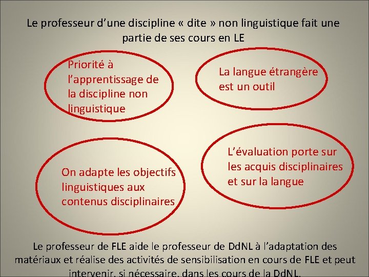 Le professeur d’une discipline « dite » non linguistique fait une partie de ses