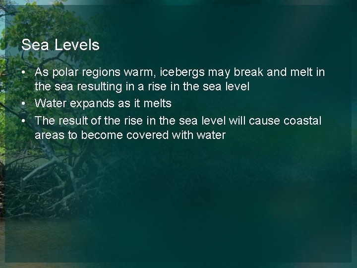 Sea Levels • As polar regions warm, icebergs may break and melt in the