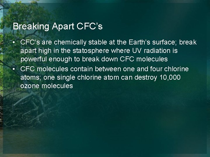 Breaking Apart CFC’s • CFC’s are chemically stable at the Earth’s surface; break apart