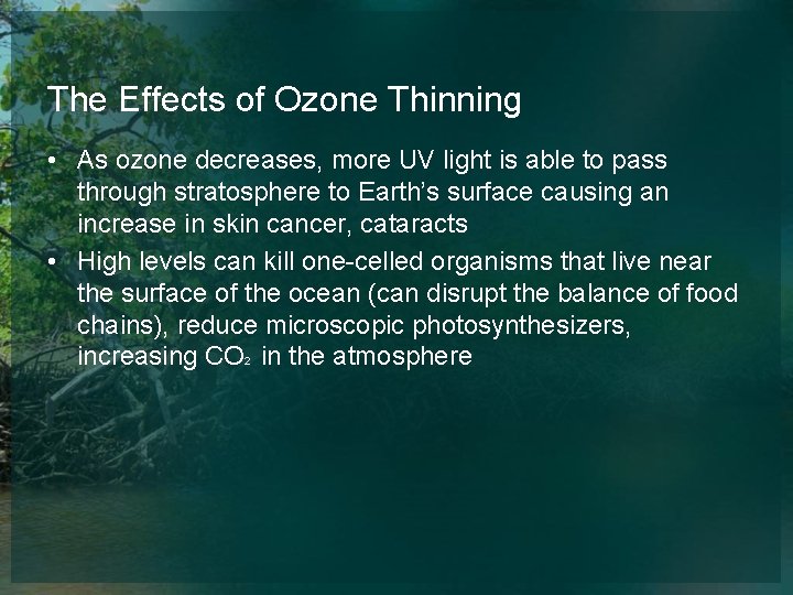 The Effects of Ozone Thinning • As ozone decreases, more UV light is able