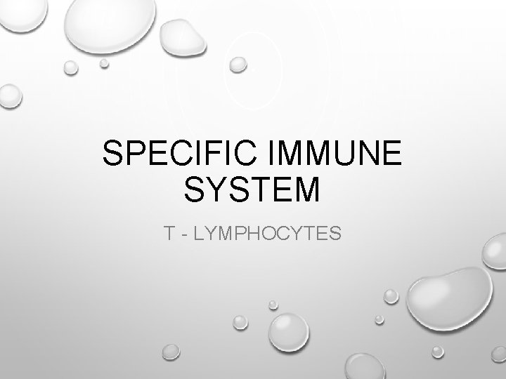 SPECIFIC IMMUNE SYSTEM T - LYMPHOCYTES 