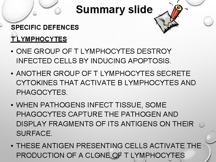 Summary slide SPECIFIC DEFENCES T LYMPHOCYTES • ONE GROUP OF T LYMPHOCYTES DESTROY INFECTED