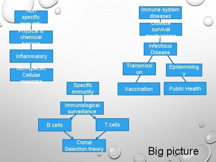 Immune system diseases Disease survival mechanisms Non specific immunity Physical & chemical barriers Infectious