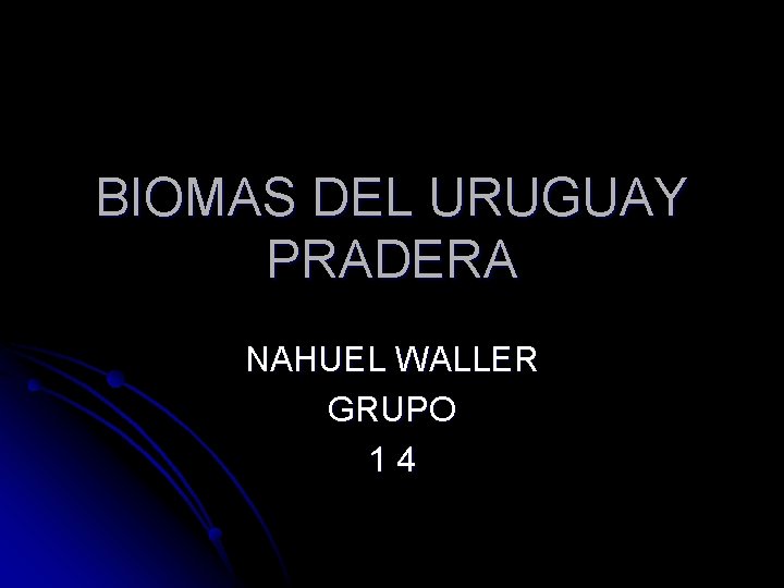 BIOMAS DEL URUGUAY PRADERA NAHUEL WALLER GRUPO 14 