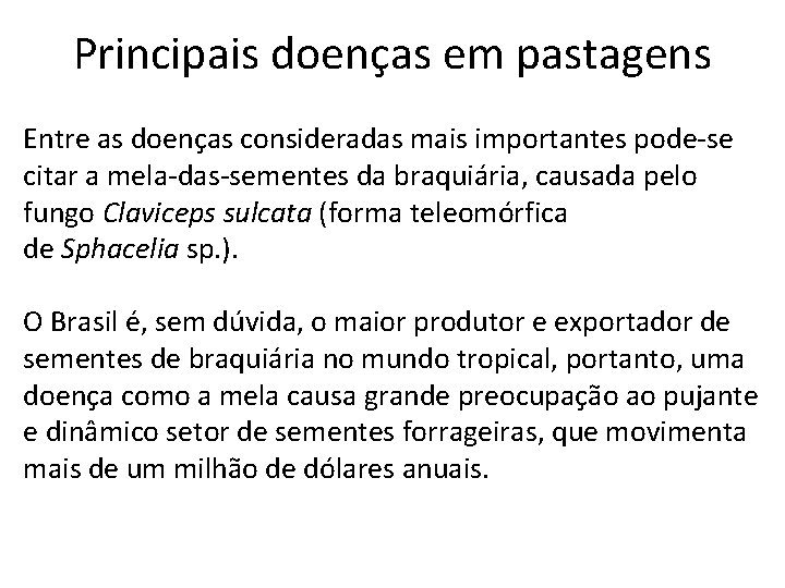 Principais doenças em pastagens Entre as doenças consideradas mais importantes pode-se citar a mela-das-sementes