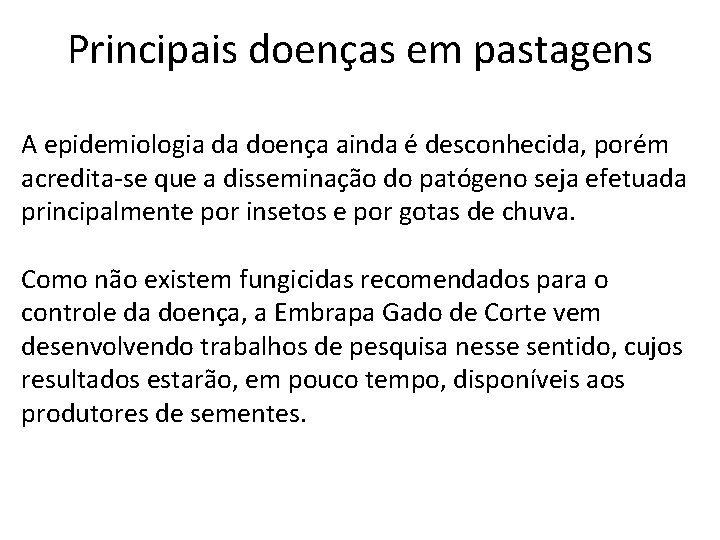 Principais doenças em pastagens A epidemiologia da doença ainda é desconhecida, porém acredita-se que