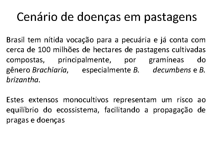 Cenário de doenças em pastagens Brasil tem nítida vocação para a pecuária e já