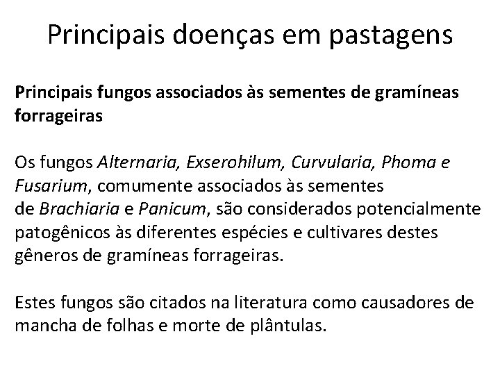 Principais doenças em pastagens Principais fungos associados às sementes de gramíneas forrageiras Os fungos