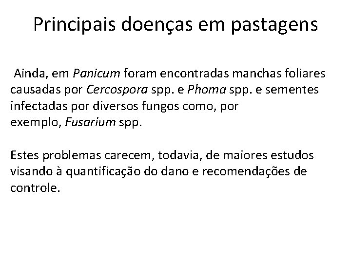 Principais doenças em pastagens Ainda, em Panicum foram encontradas manchas foliares causadas por Cercospora
