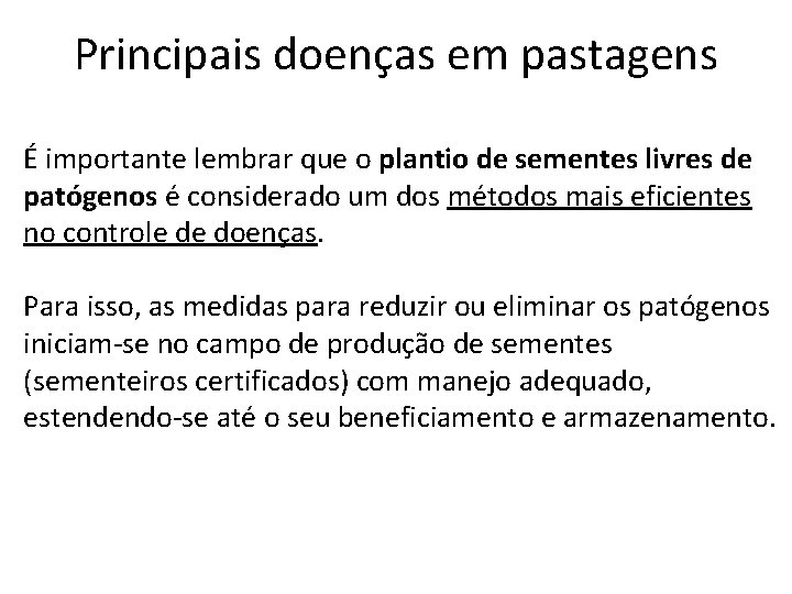 Principais doenças em pastagens É importante lembrar que o plantio de sementes livres de