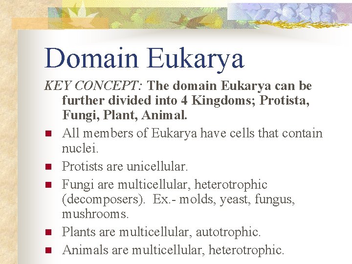 Domain Eukarya KEY CONCEPT: The domain Eukarya can be further divided into 4 Kingdoms;